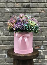 Цветочная композиция из Гипсофила и Розы в шляпной коробке #REPLACE_PRED# Канске