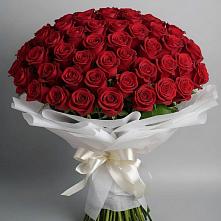 Букет 101 Красная роза Блэк Мэджик в Канске