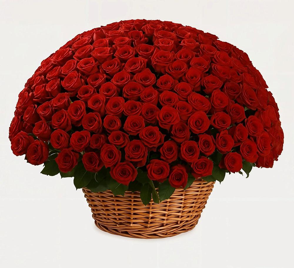 Премиум букет из: Розы в Канске