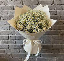 Букет цветов из:  Ромашки #REPLACE_PRED# Канске