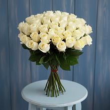 Букет 51 Белая роза Эдлесс Лав #REPLACE_PRED# Канске