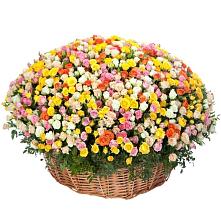 Премиум букет из: Розы #REPLACE_PRED# Канске