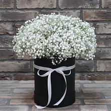 Цветочная композиция из Гипсофила в шляпной коробке в Канске
