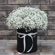 Цветочная композиция из Гипсофила в шляпной коробке в Канске